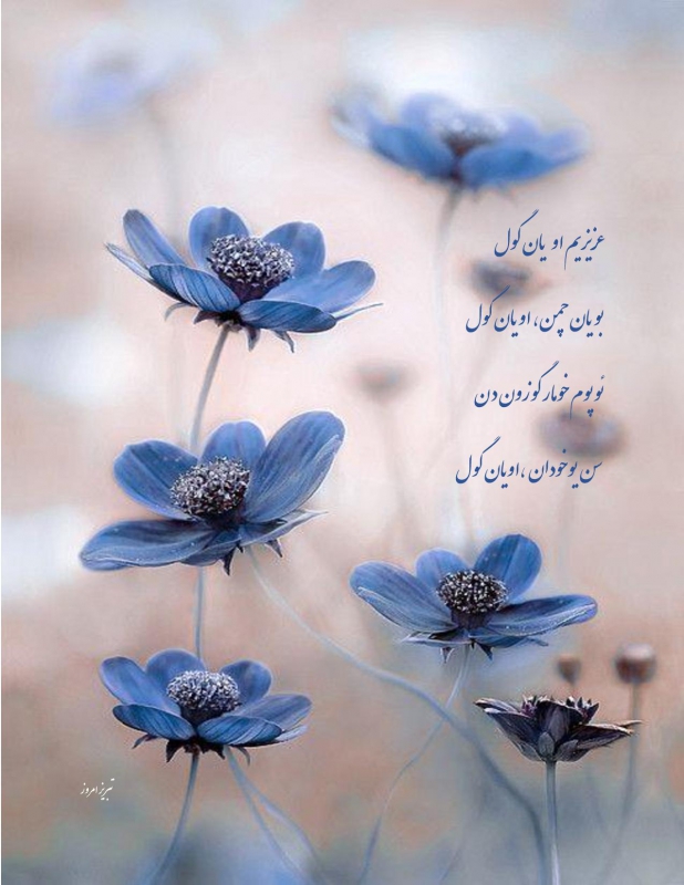 ئوپوم خومار گوزون دن  سن یوخودان اویان گول بایاتی -توفیق وحیدی آذر